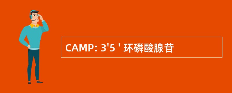 CAMP: 3&#039;5 &#039; 环磷酸腺苷