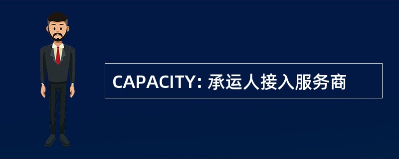 CAPACITY: 承运人接入服务商