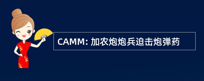 CAMM: 加农炮炮兵迫击炮弹药