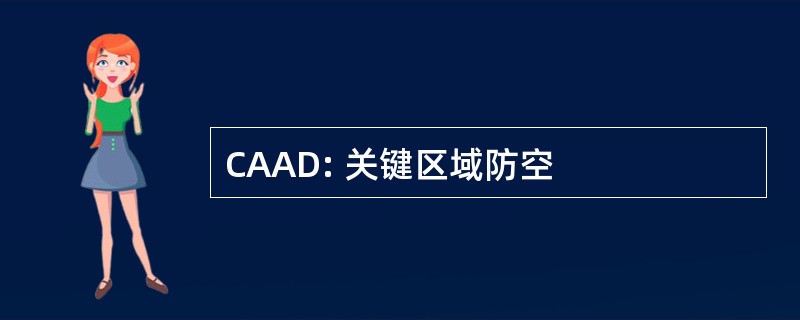 CAAD: 关键区域防空