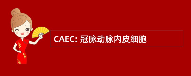 CAEC: 冠脉动脉内皮细胞