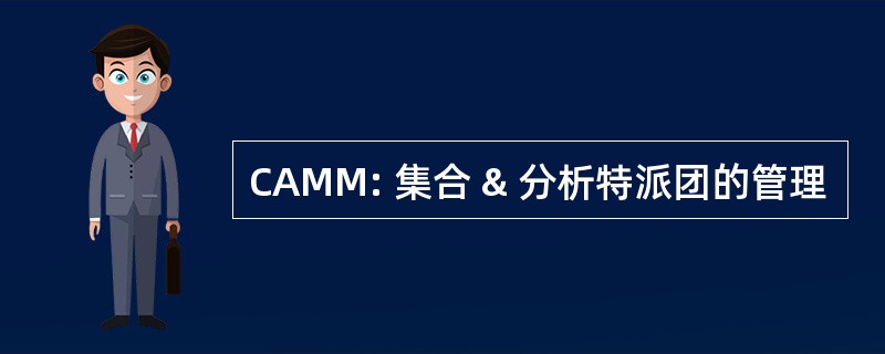 CAMM: 集合 & 分析特派团的管理