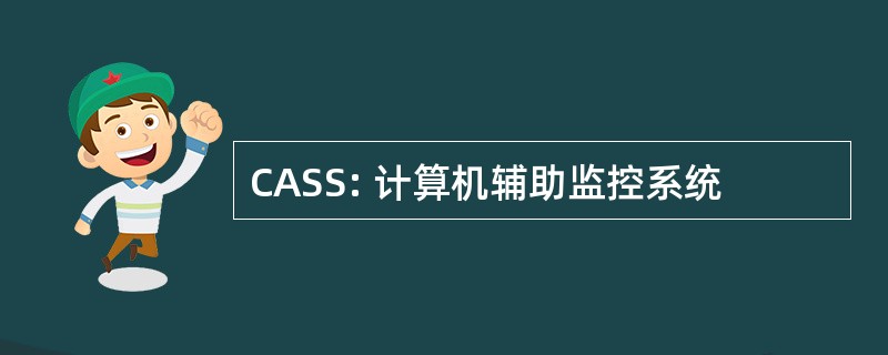 CASS: 计算机辅助监控系统