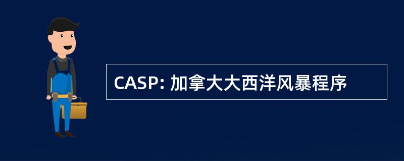 CASP: 加拿大大西洋风暴程序