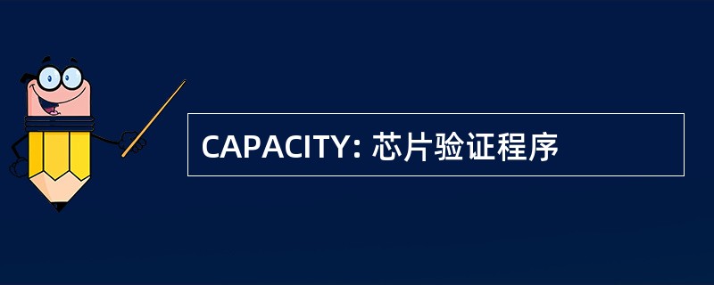 CAPACITY: 芯片验证程序