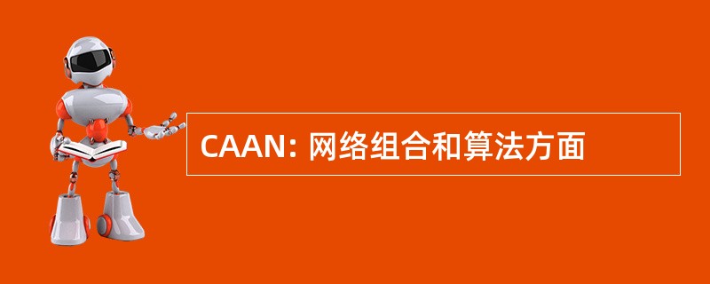 CAAN: 网络组合和算法方面