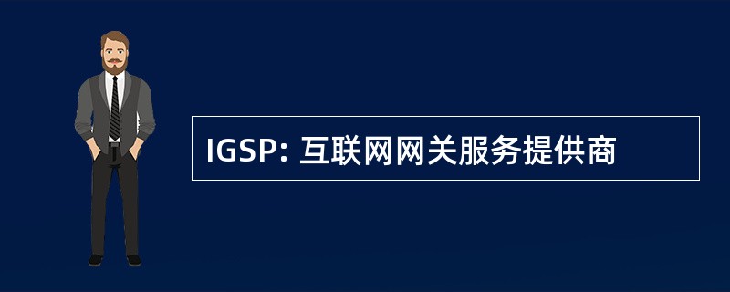 IGSP: 互联网网关服务提供商