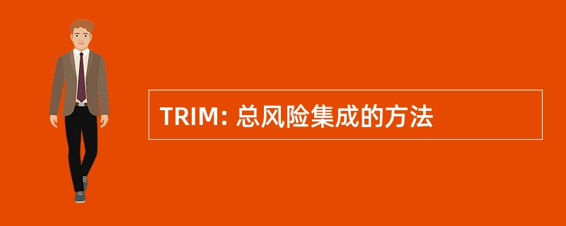 TRIM: 总风险集成的方法