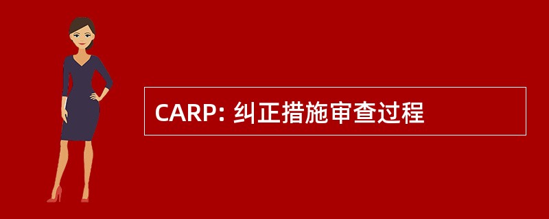 CARP: 纠正措施审查过程