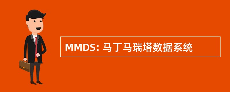 MMDS: 马丁马瑞塔数据系统