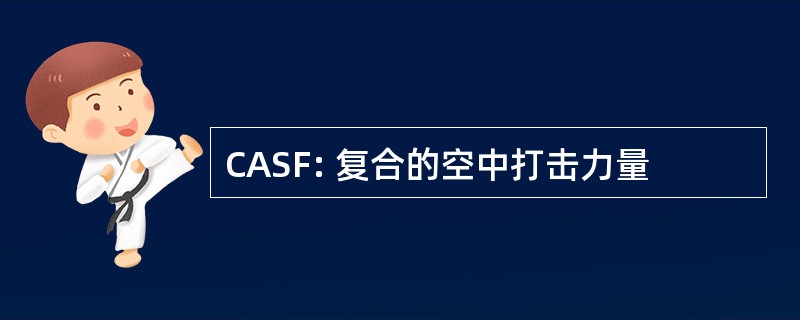 CASF: 复合的空中打击力量