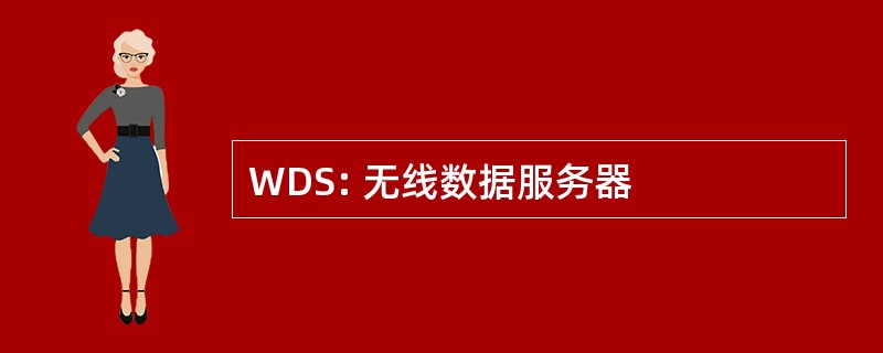 WDS: 无线数据服务器