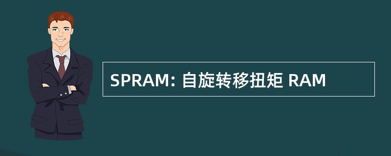 SPRAM: 自旋转移扭矩 RAM