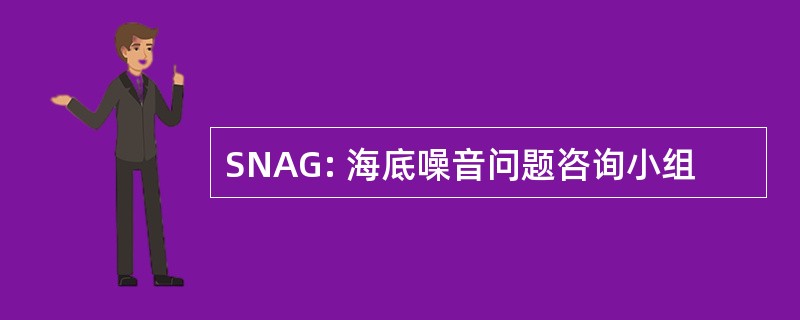 SNAG: 海底噪音问题咨询小组