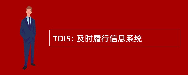 TDIS: 及时履行信息系统