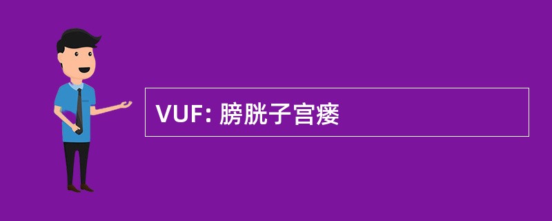 VUF: 膀胱子宫瘘