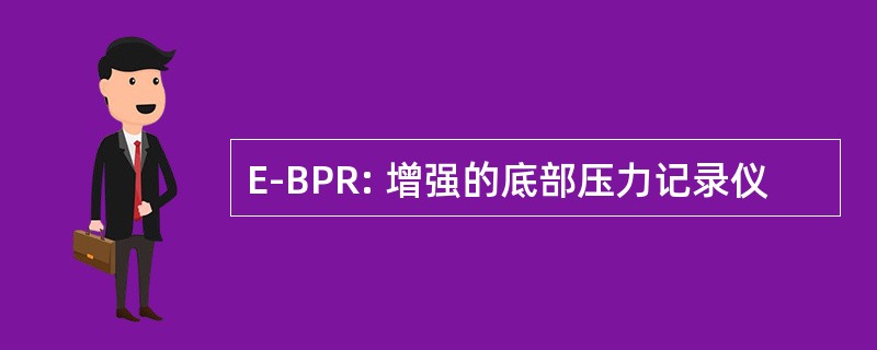 E-BPR: 增强的底部压力记录仪