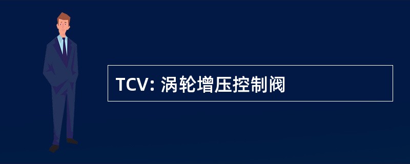 TCV: 涡轮增压控制阀