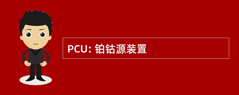 PCU: 铂钴源装置