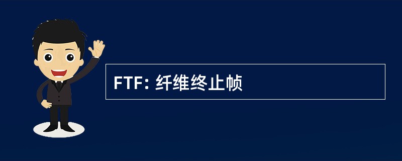 FTF: 纤维终止帧