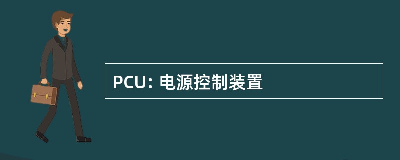 PCU: 电源控制装置