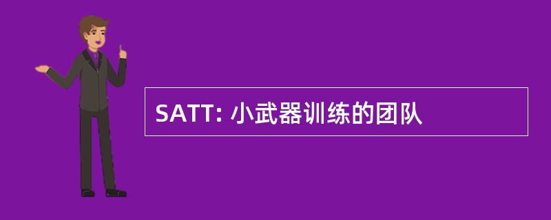 SATT: 小武器训练的团队