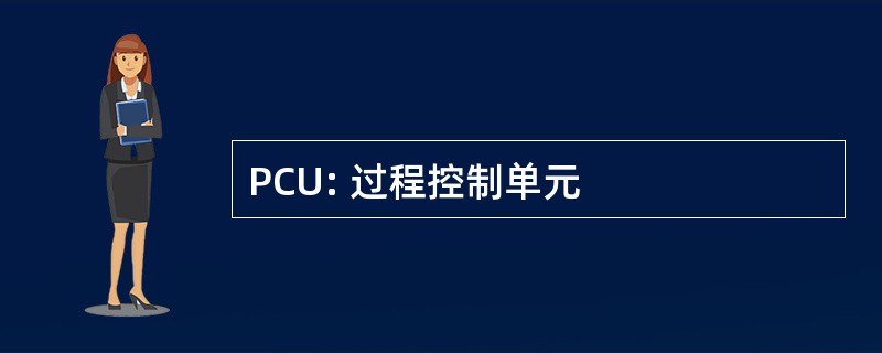 PCU: 过程控制单元