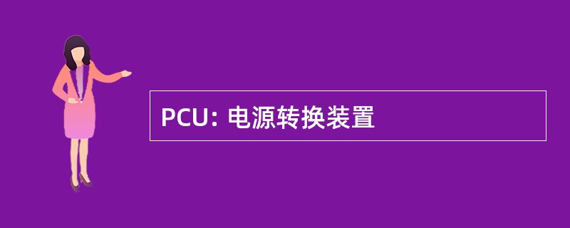 PCU: 电源转换装置