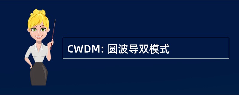 CWDM: 圆波导双模式