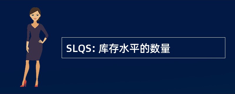 SLQS: 库存水平的数量