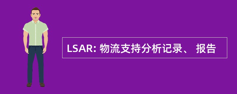 LSAR: 物流支持分析记录、 报告