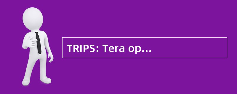 TRIPS: Tera op 可靠的智能自适应处理系统