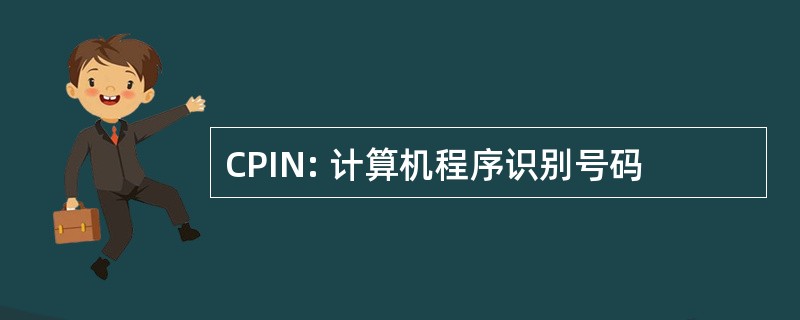 CPIN: 计算机程序识别号码