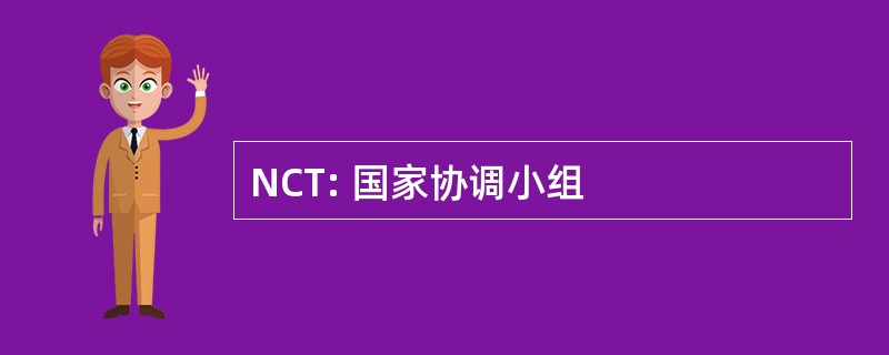 NCT: 国家协调小组