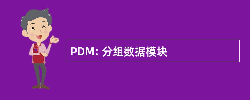 PDM: 分组数据模块