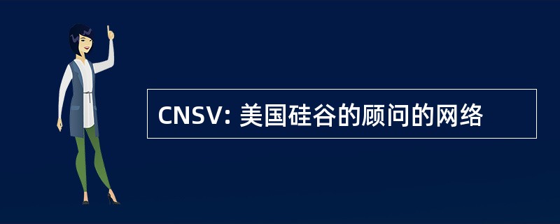 CNSV: 美国硅谷的顾问的网络