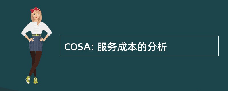 COSA: 服务成本的分析