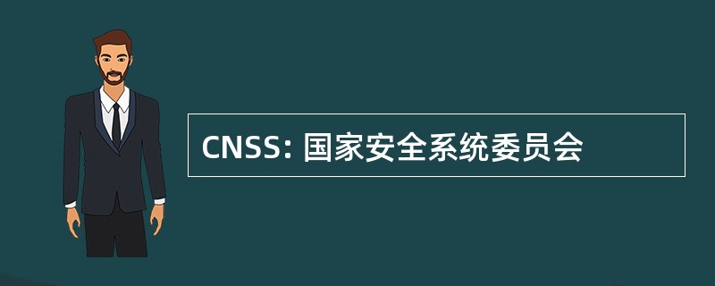 CNSS: 国家安全系统委员会