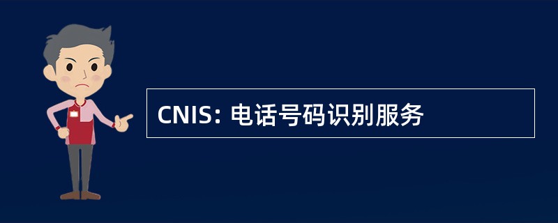 CNIS: 电话号码识别服务