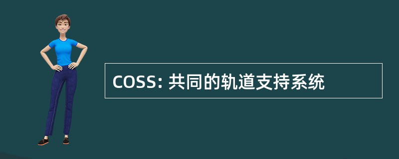 COSS: 共同的轨道支持系统