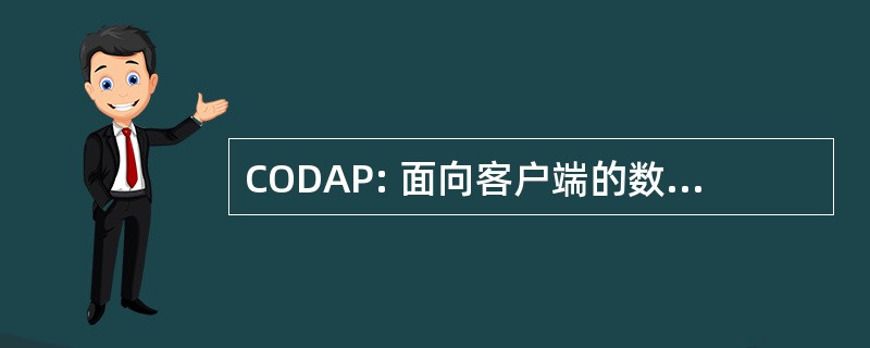 CODAP: 面向客户端的数据采集过程