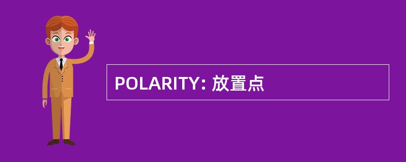 POLARITY: 放置点