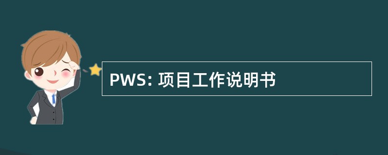 PWS: 项目工作说明书