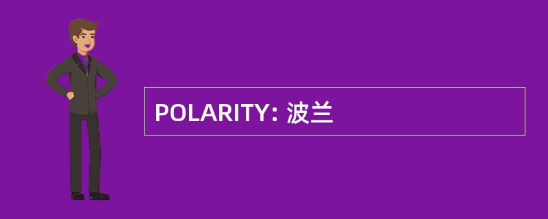 POLARITY: 波兰