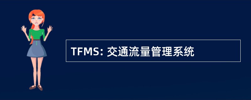 TFMS: 交通流量管理系统