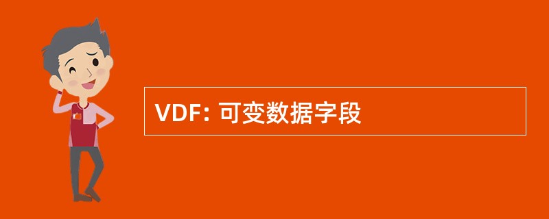 VDF: 可变数据字段