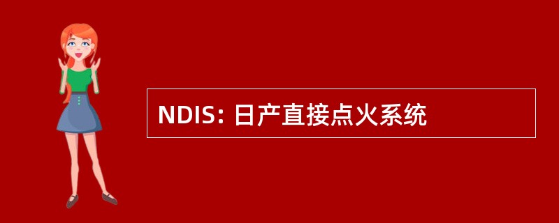 NDIS: 日产直接点火系统