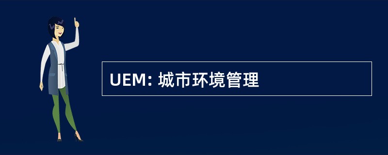 UEM: 城市环境管理