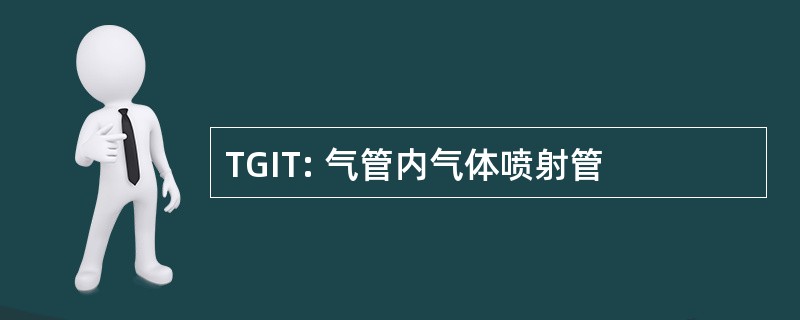 TGIT: 气管内气体喷射管