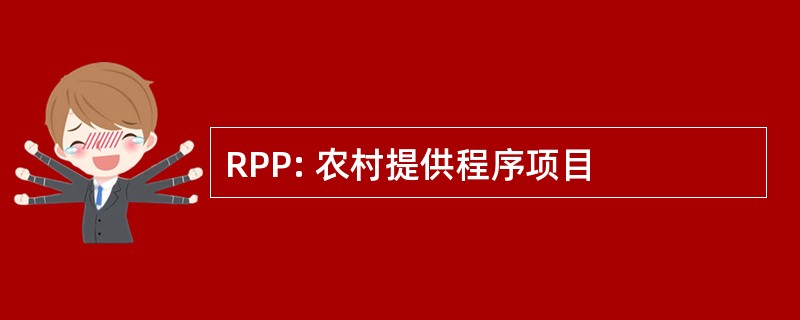 RPP: 农村提供程序项目